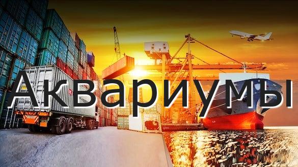 Аквариумы