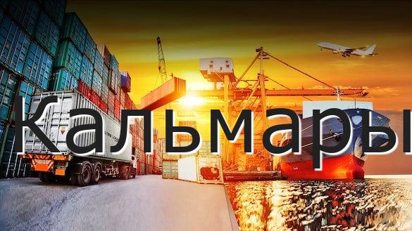 Кальмары