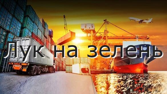 Лук на зелень