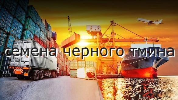 семена черного тмина