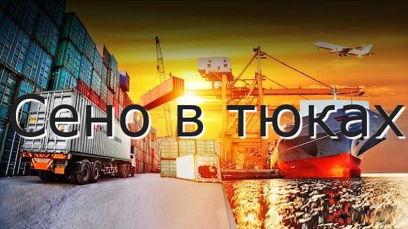 Сено в тюках